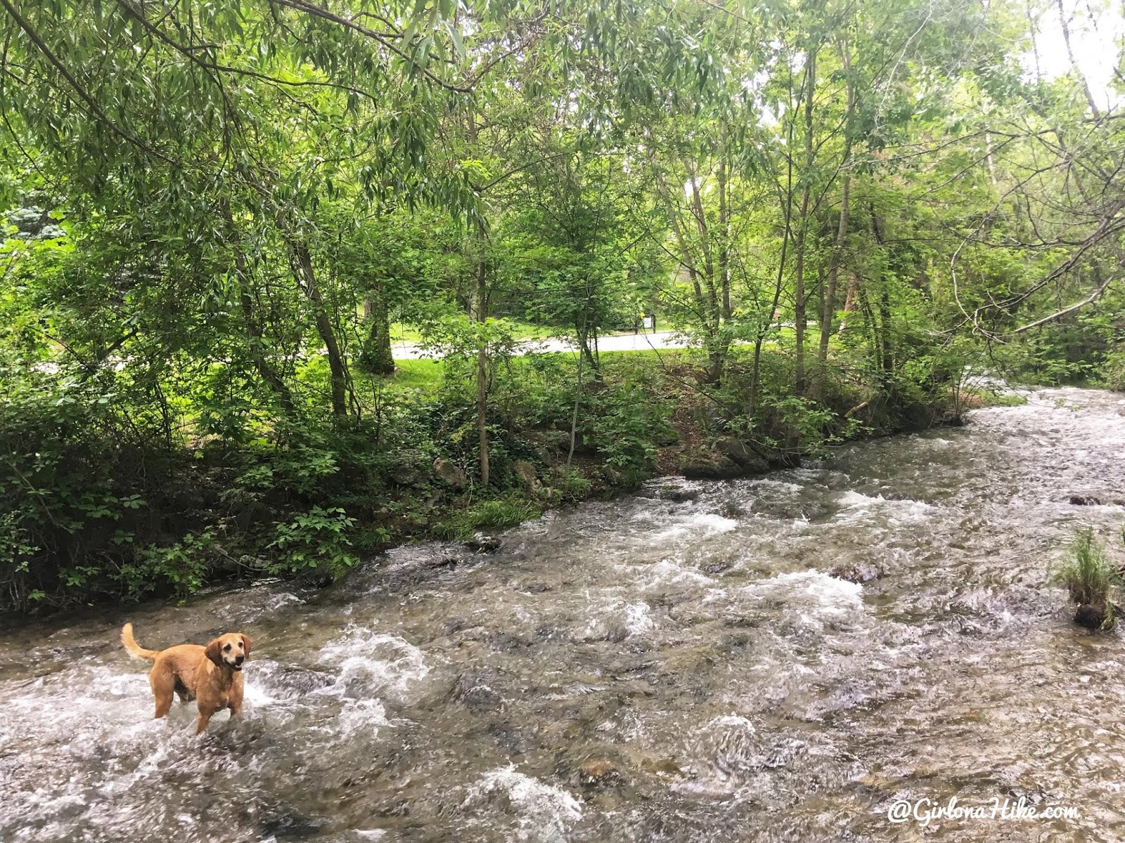 Downtown Alliance - Salt Lake City, Utah - City Creek Canyon: Downtown's  Year Round Playground