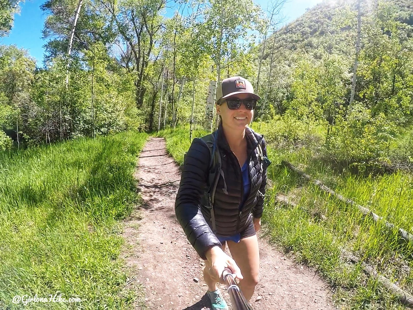 Hiking the Big Springs Hollow Trail