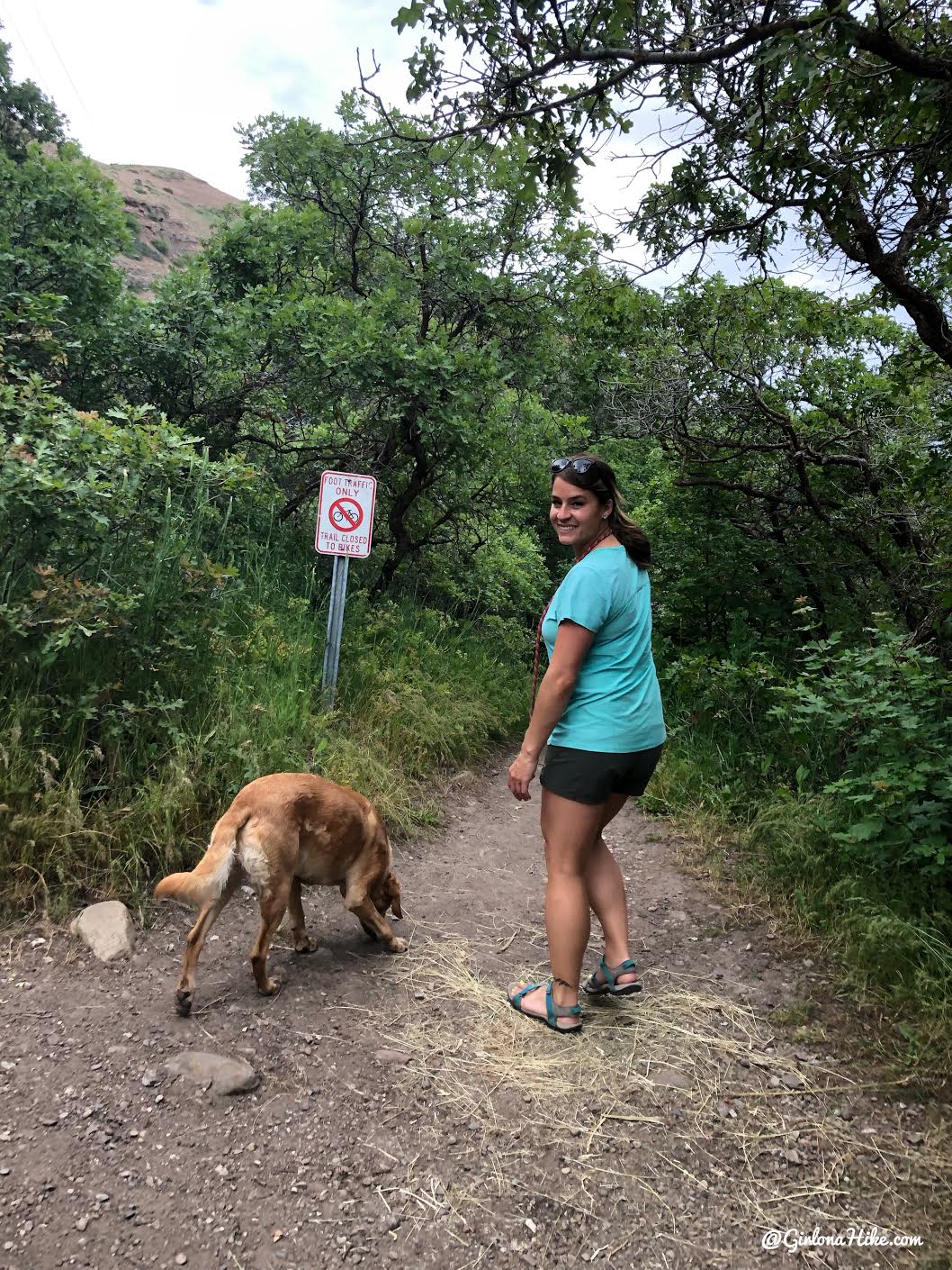 Hiking in Memory Grove Park & City Creek Canyon