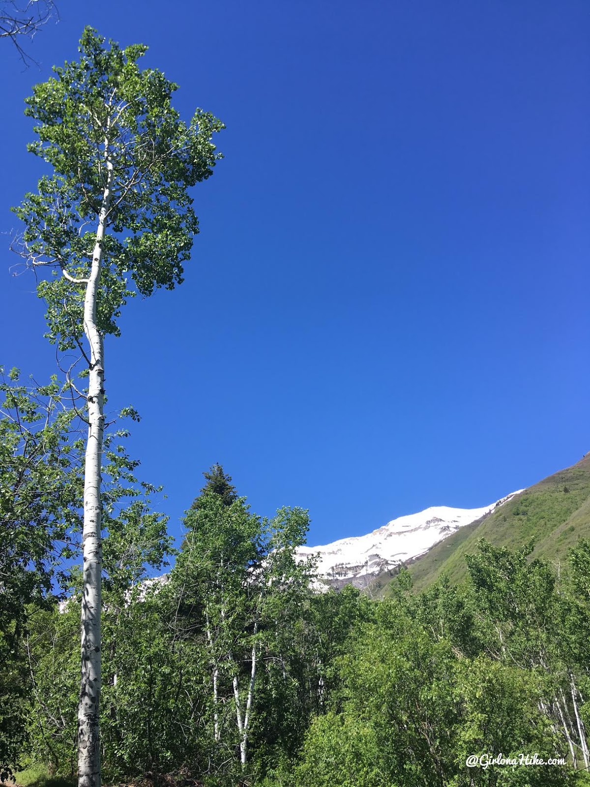 Hiking the Big Springs Hollow Trail