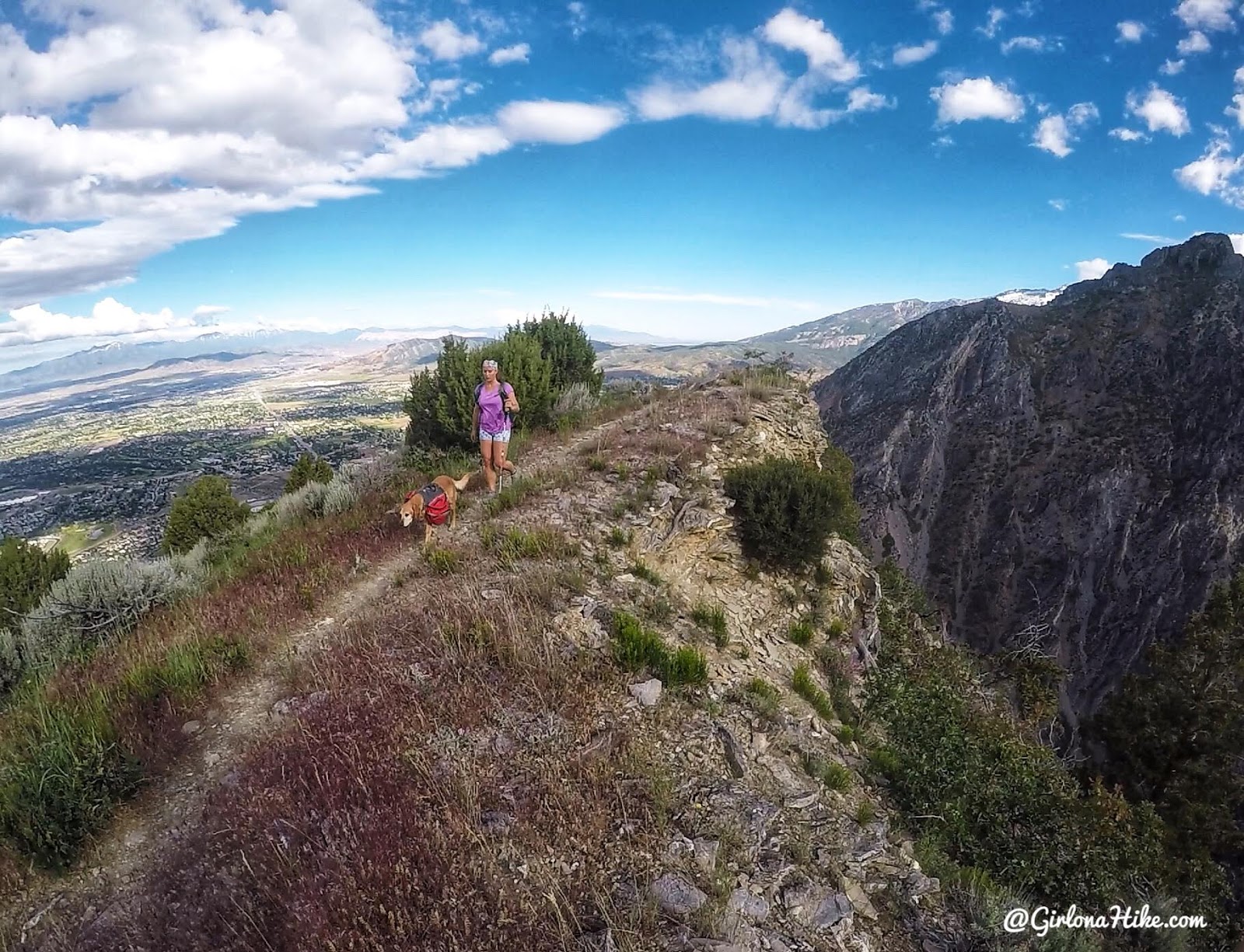 Hiking Mahogany Mountain, Utah county, utah peak baggers, hiking in utah with dogs, Utah's best peaks