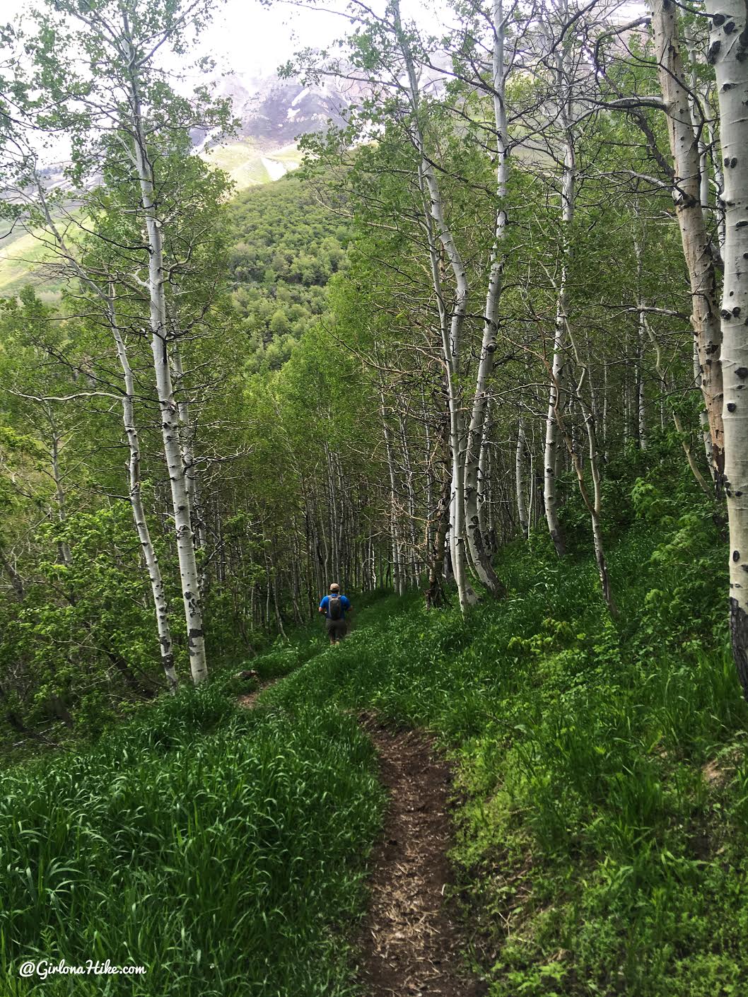 Hiking Mahogany Mountain, Utah county, utah peak baggers, hiking in utah with dogs, Utah's best peaks