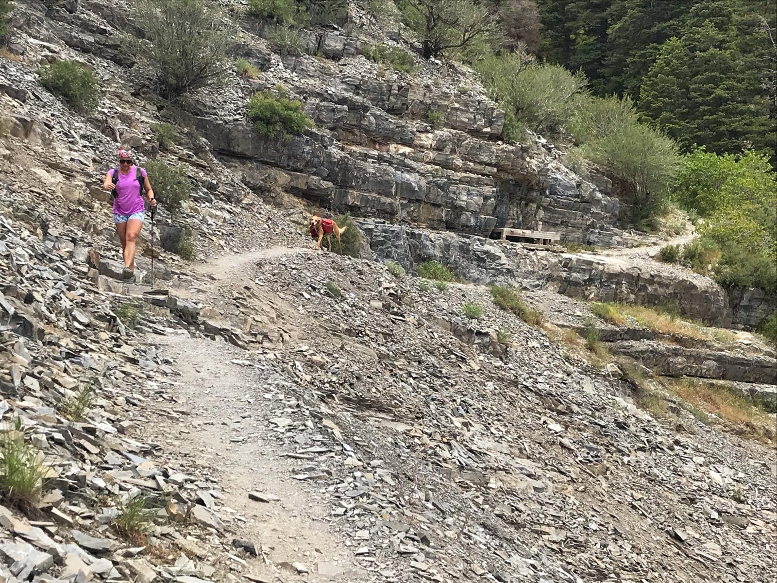 Hiking Mahogany Mountain, Utah county, utah peak baggers, hiking in utah with dogs, Utah's best peaks