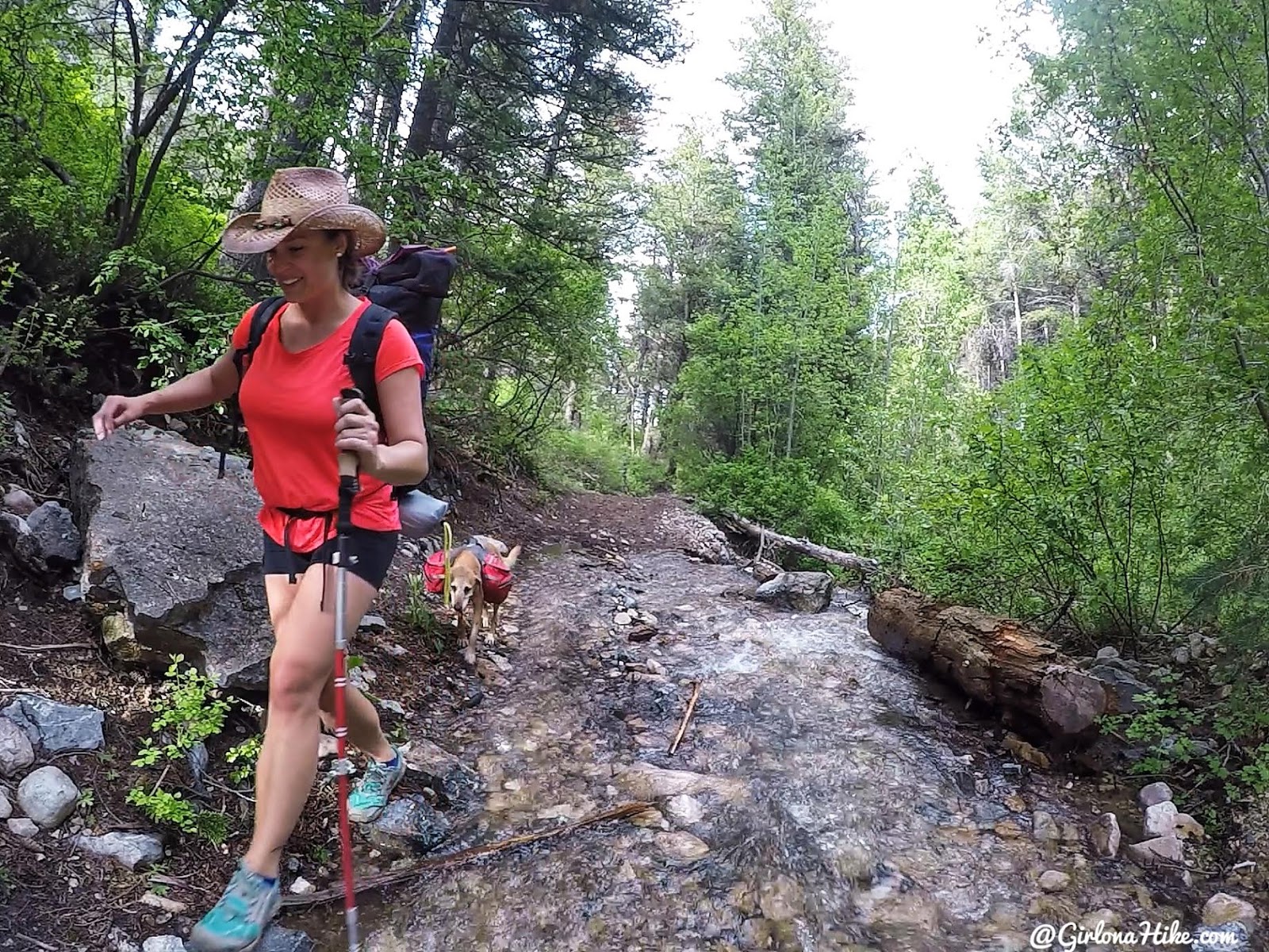 Backpacking to South Willow Lake, Desert Peak Wilderness