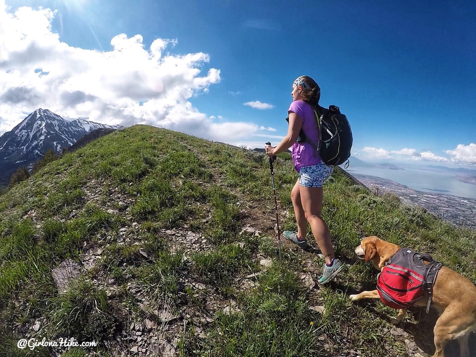 Hiking Mahogany Mountain, Utah county, utah peak baggers, hiking in utah with dogs, Utah's best peaks