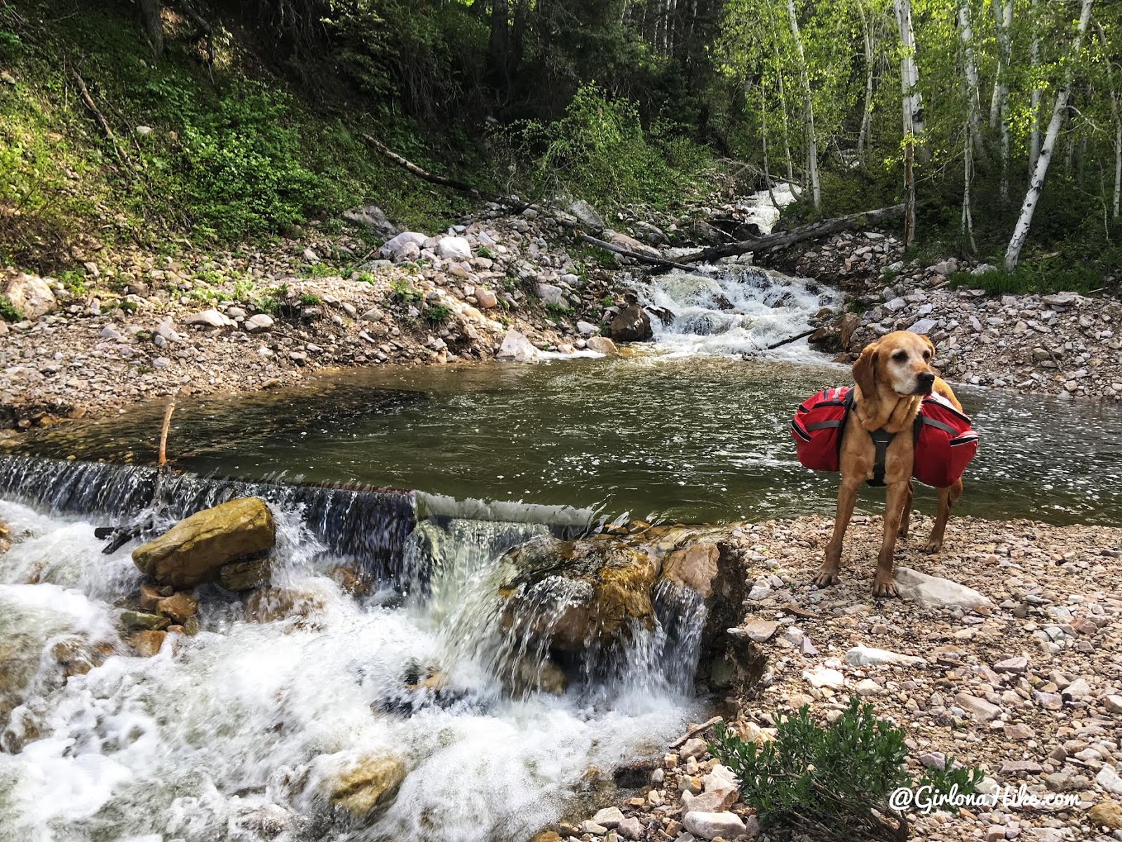 Backpacking to South Willow Lake, Desert Peak Wilderness