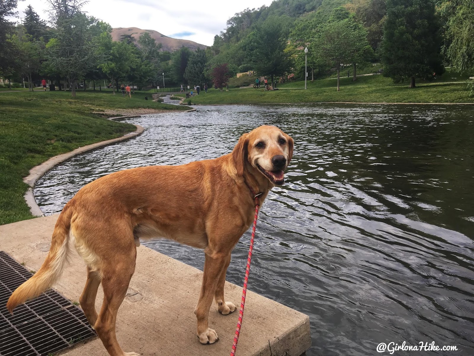 Hiking in Memory Grove Park & City Creek Canyon