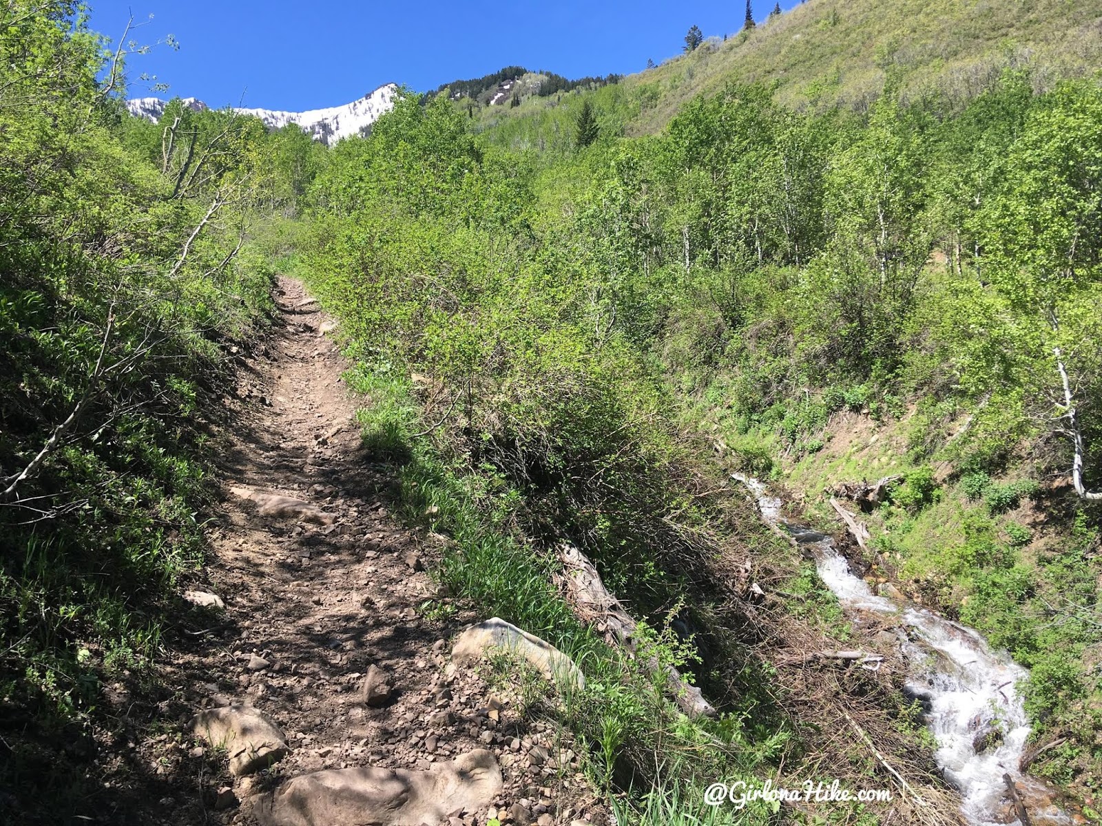 Hiking the Big Springs Hollow Trail