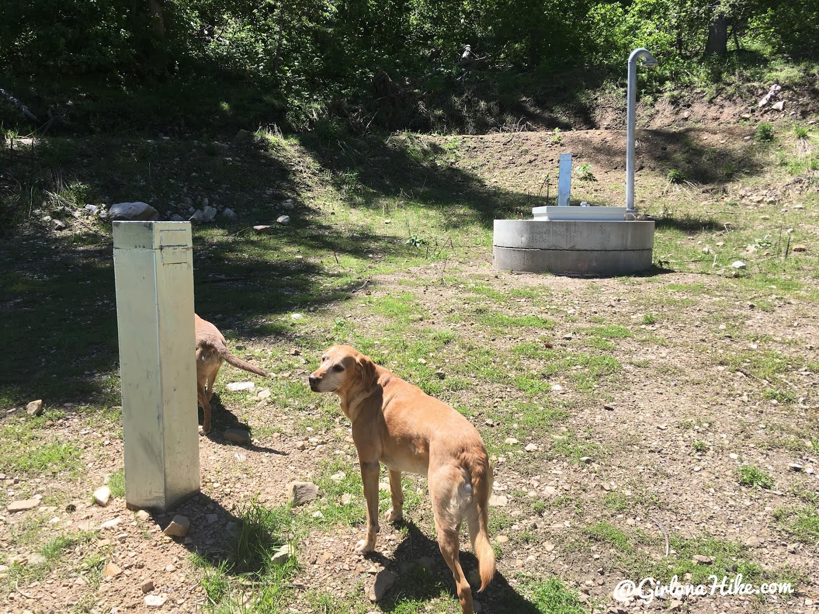 Hiking the Big Springs Hollow Trail