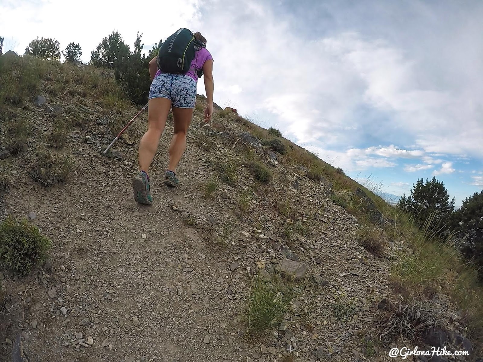 Hiking Mahogany Mountain, Utah county, utah peak baggers, hiking in utah with dogs, Utah's best peaks