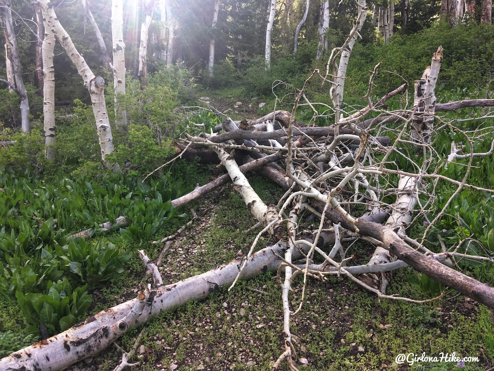 Backpacking to South Willow Lake, Desert Peak Wilderness