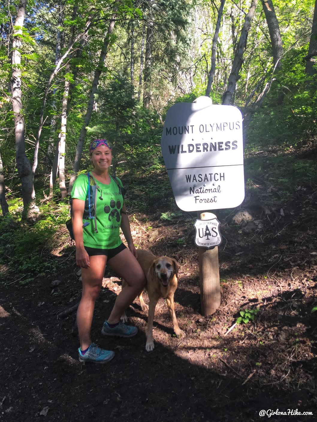Hiking the Terraces Trail, Millcreek Canyon, Hiking in Utah with Dogs, Hiking in Millcreek Canyon