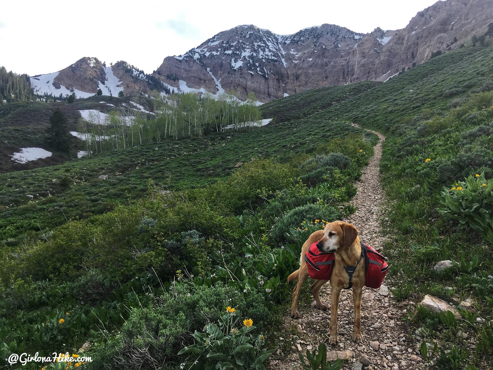 Backpacking to South Willow Lake, Desert Peak Wilderness