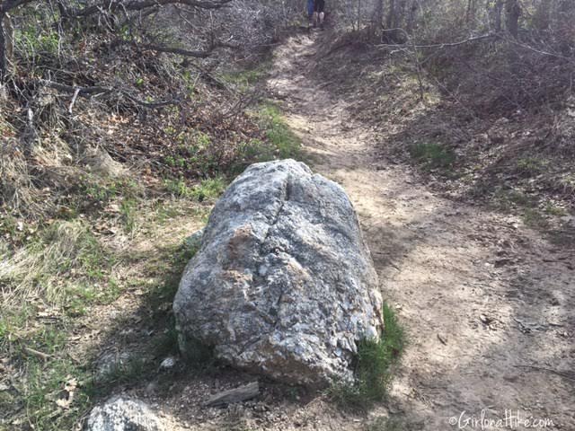 Kenny Creek Trail, Utah