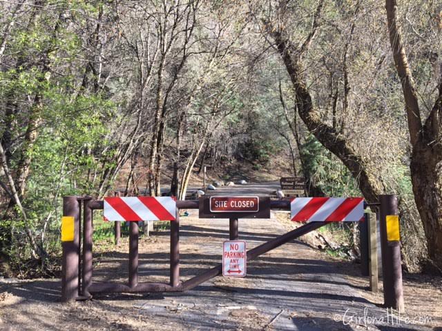 Bowman Fork Trail, Millcreek Canyon, Utah, Hiking in Utah with Dogs