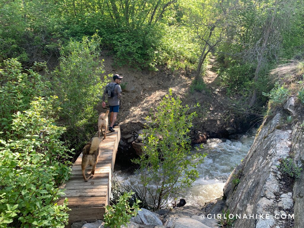 Hiking Holbrook Canyon