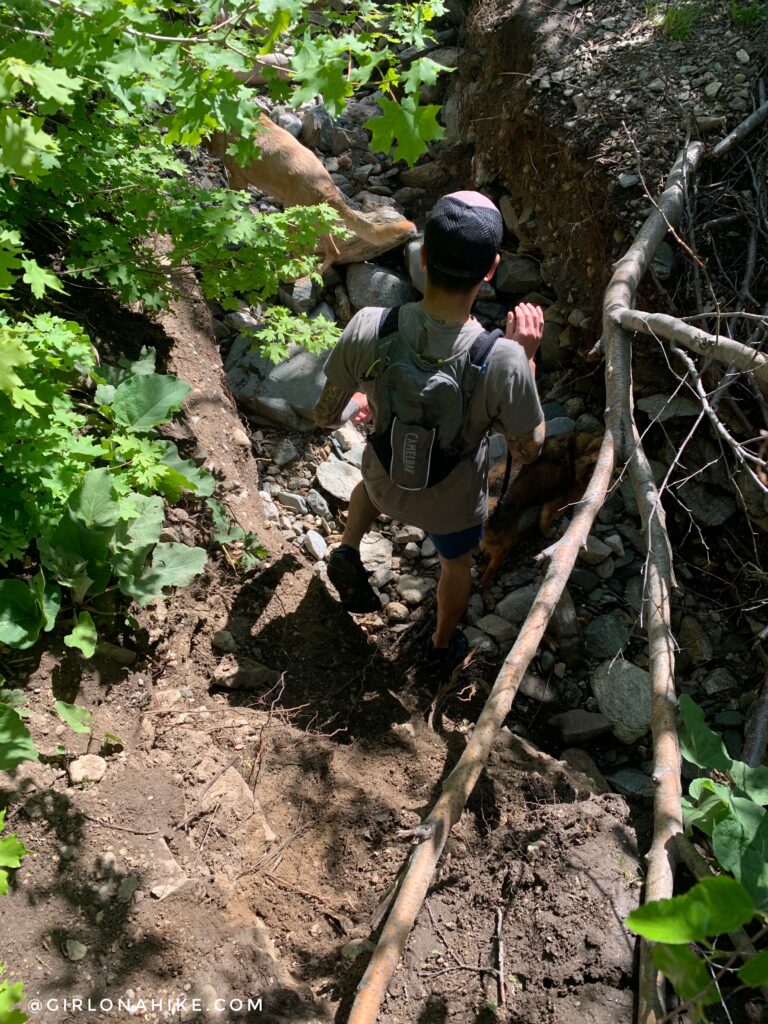 Hiking Holbrook Canyon