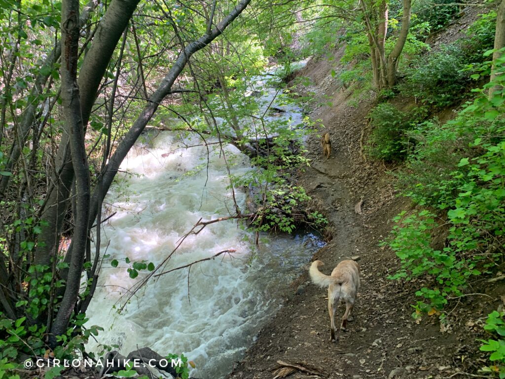 These are the only two bridges left after strong waters washed away the rest from the major snow year in 2022-2023.