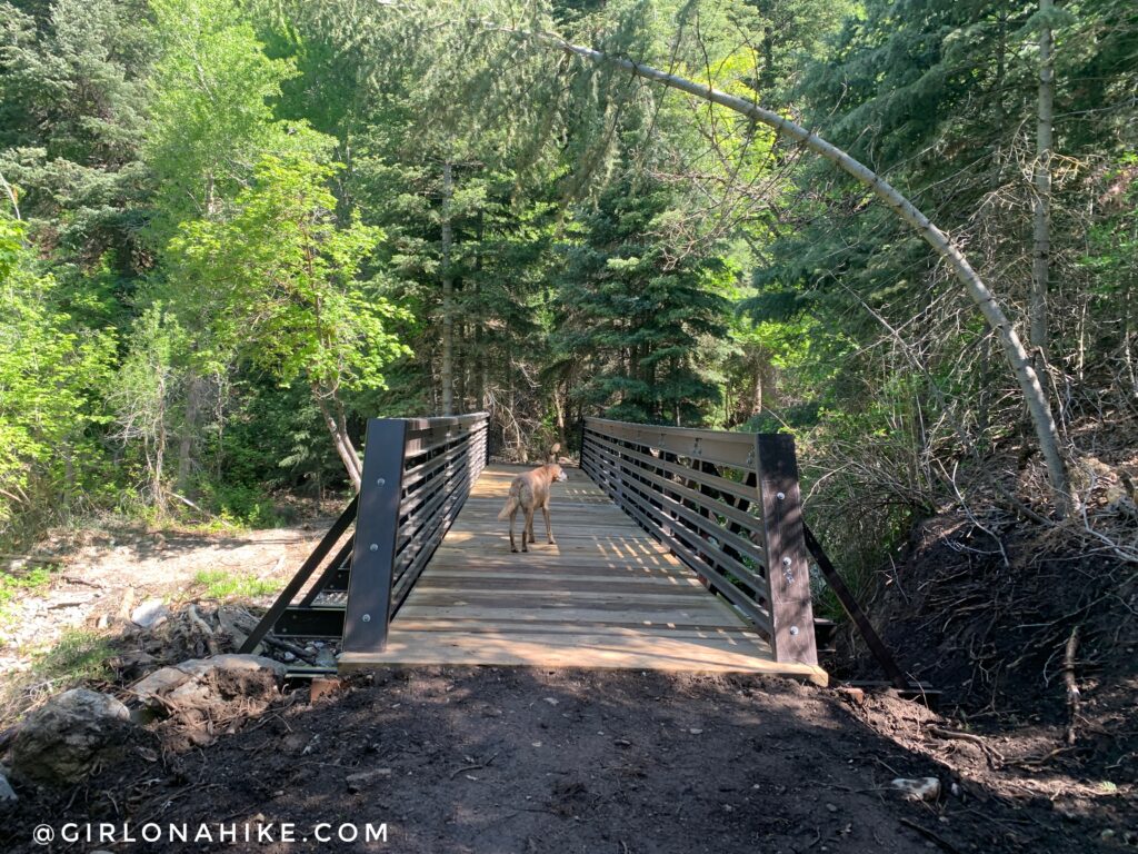 These are the only two bridges left after strong waters washed away the rest from the major snow year in 2022-2023.