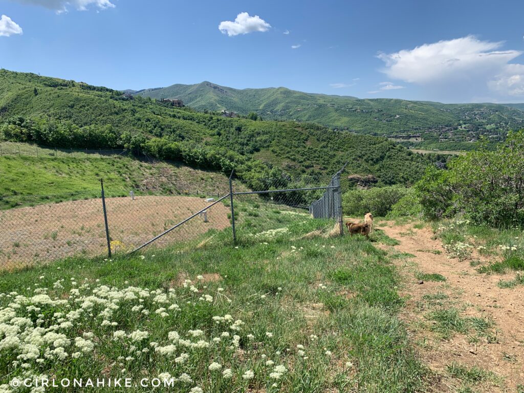 Hiking Holbrook Canyon