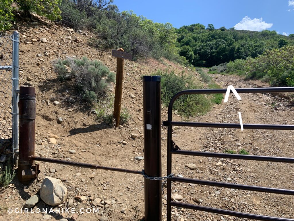 Hiking Holbrook Canyon