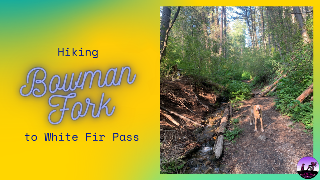 Hiking the Bowman Fork Trail