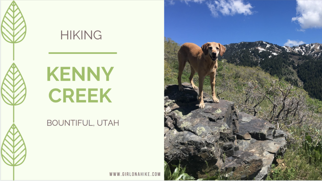 Hike the Kenny Creek Trail