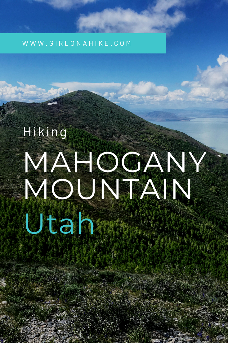 Hiking Mahogany Mountain, Utah county, utah peak baggers, hiking in utah with dogs, Utah's best peaks