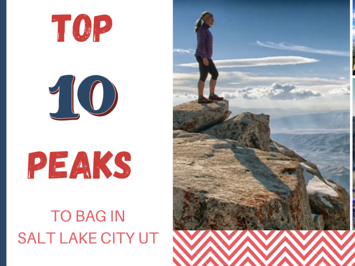 The Lady Bag  Salt Lake City UT