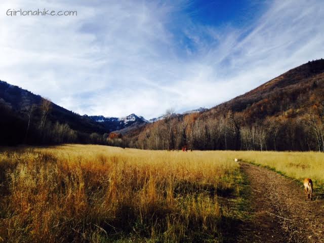 Big Springs trail