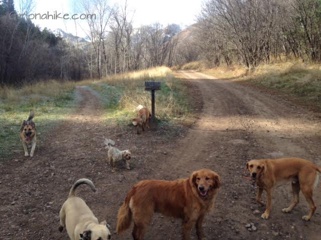 Big Springs trail