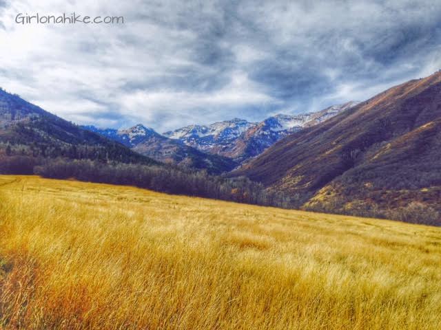 Big Springs trail