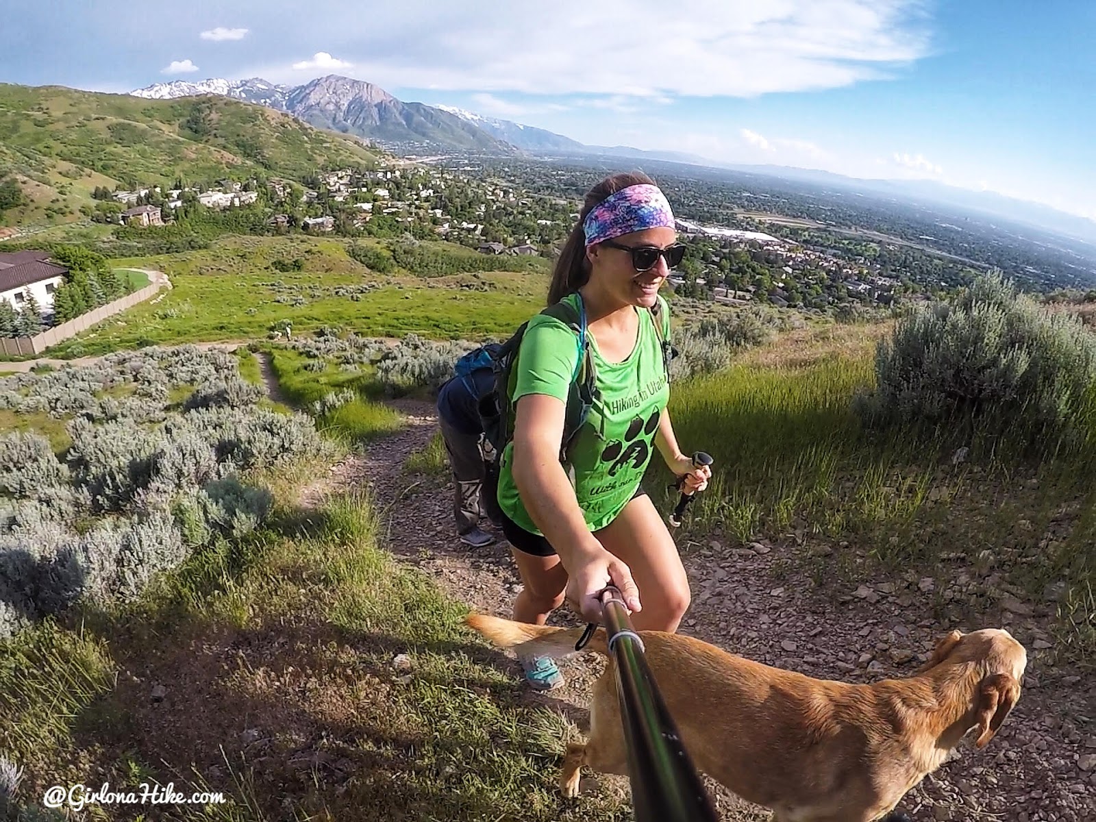 Hiking to Jack's Mailbox Peak, Utah, Hiking in Utah with Dogs