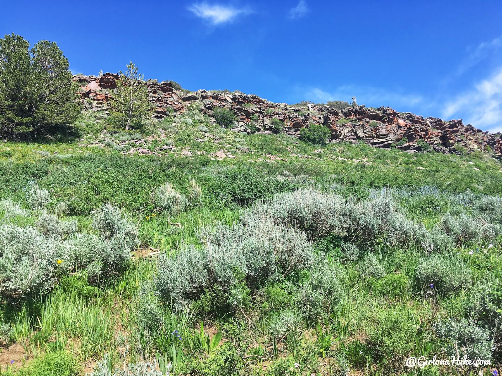 Hiking to Bridger Peak, Rich County High Point