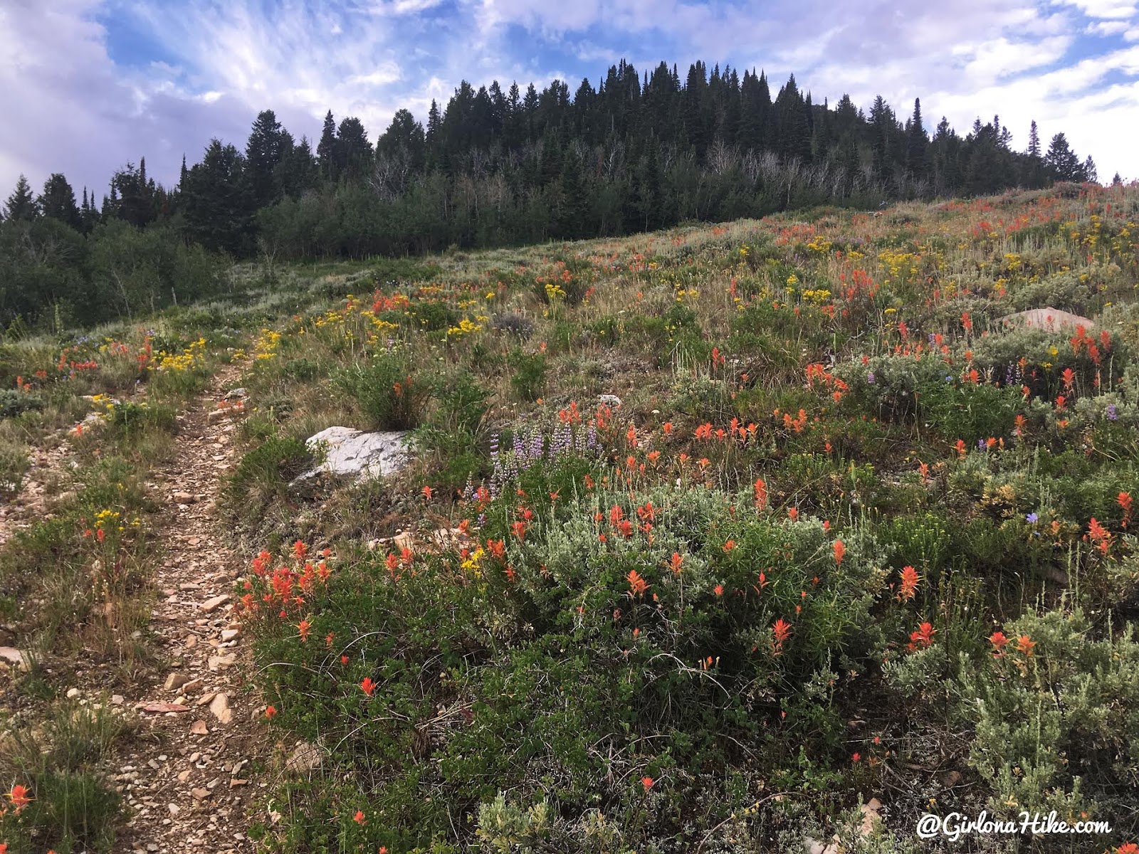 Hiking to Bull Mountain, Box Elder County High Point