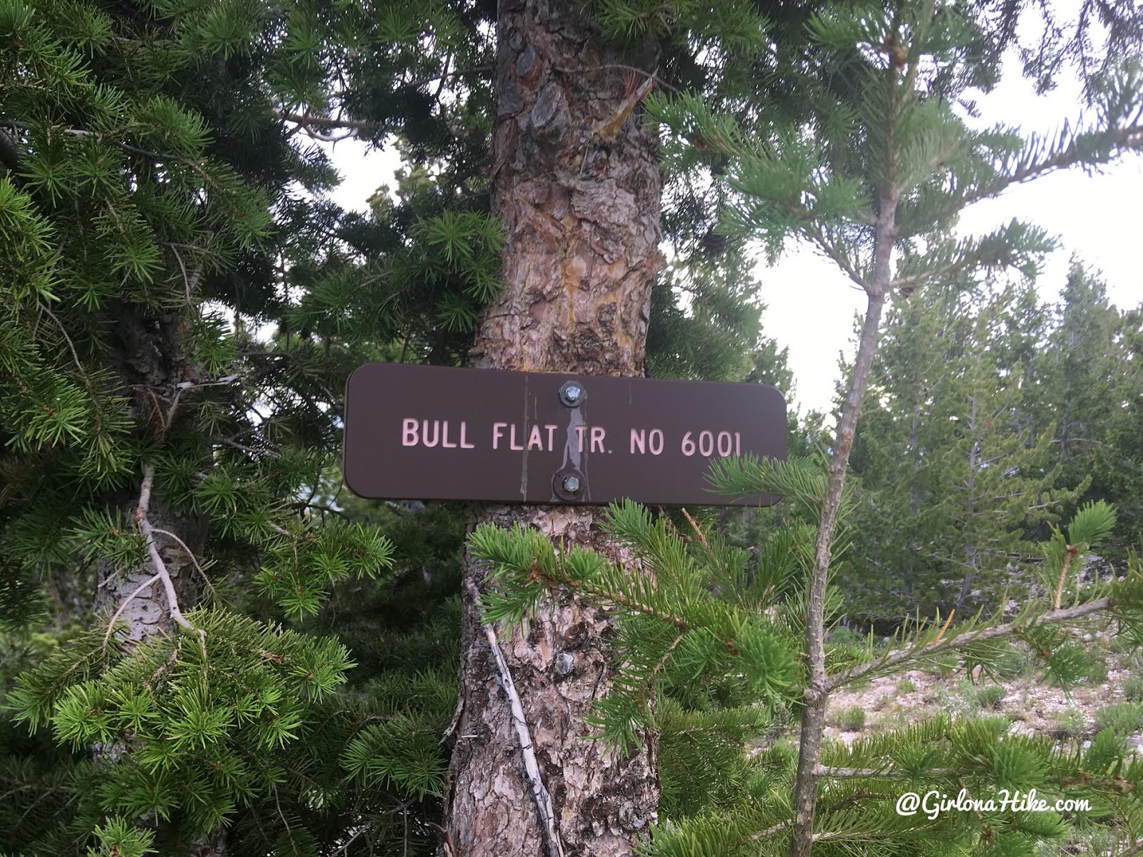 Hiking to Bull Mountain, Box Elder County High Point