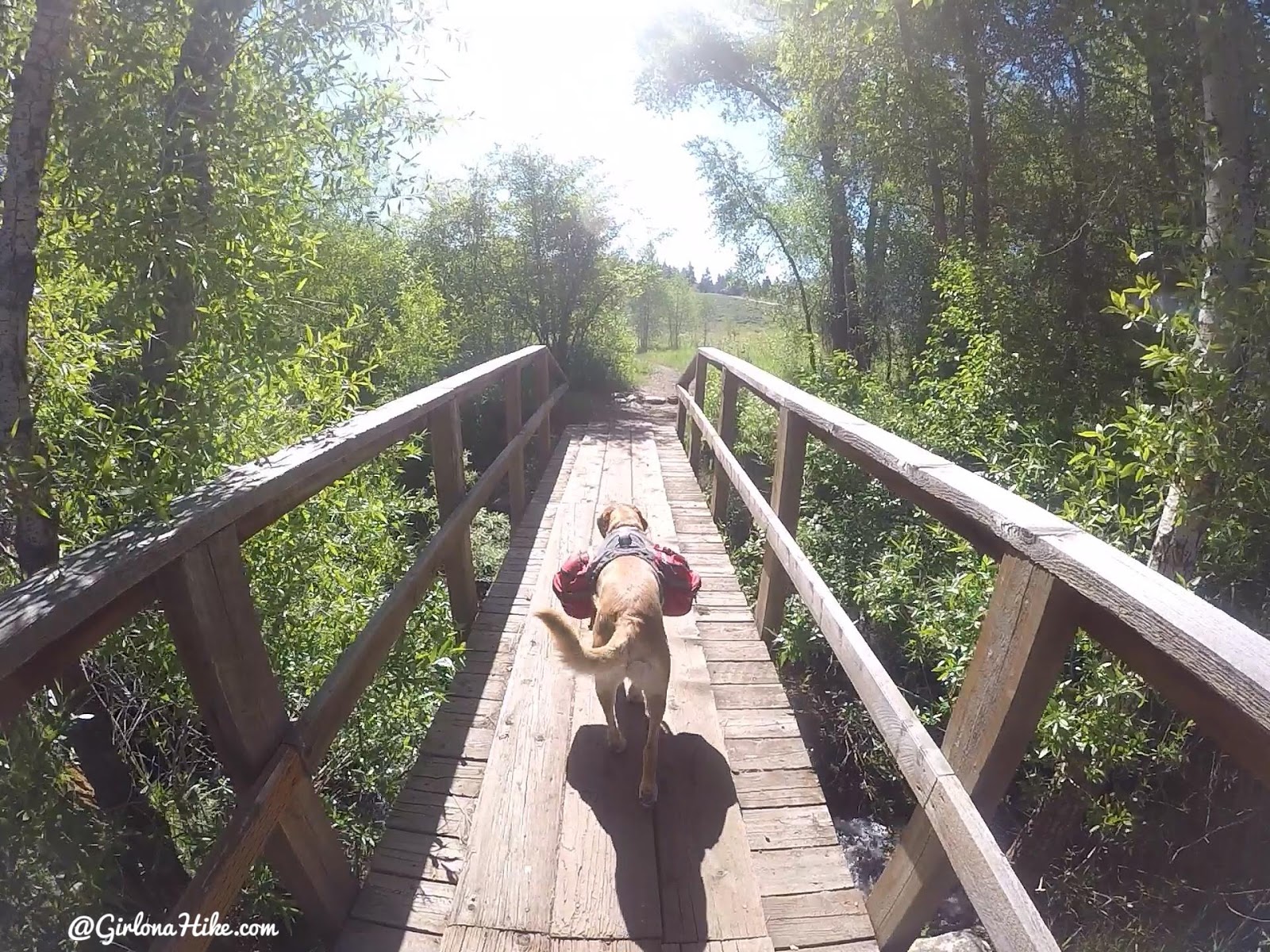 Backpacking the Yellow Pine Trail, Uintas