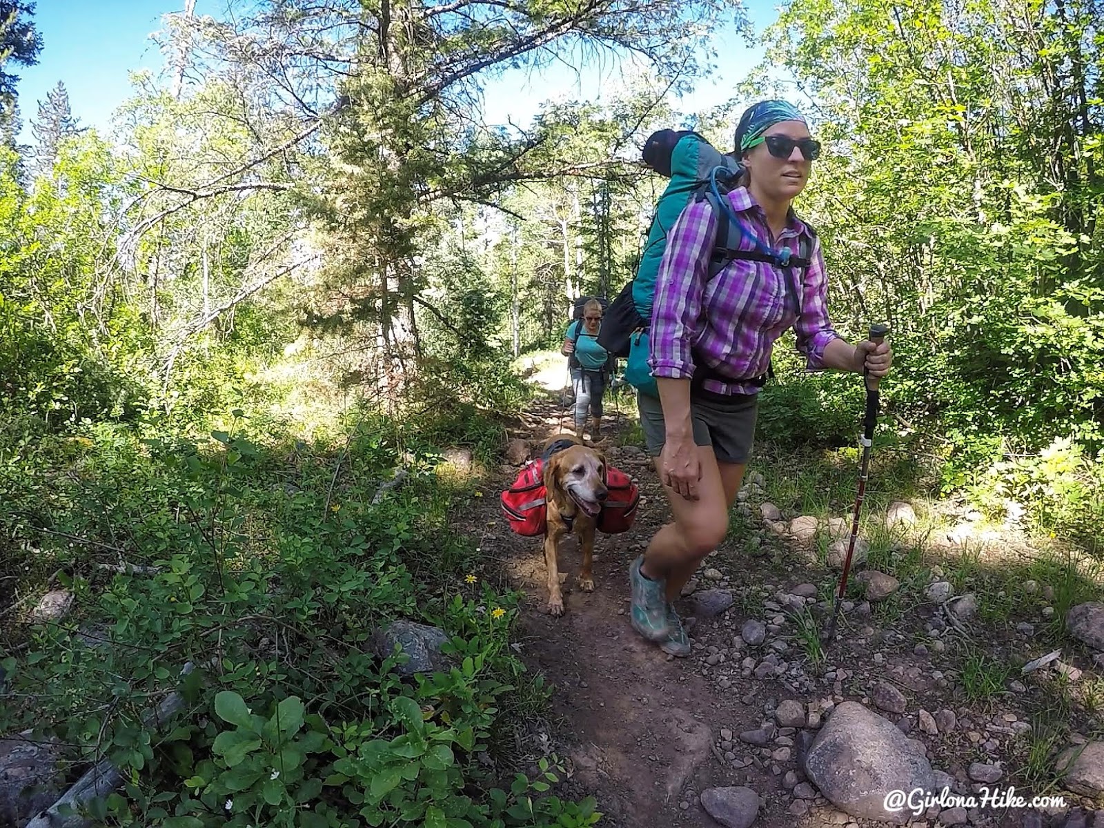 Backpacking the Yellow Pine Trail, Uintas