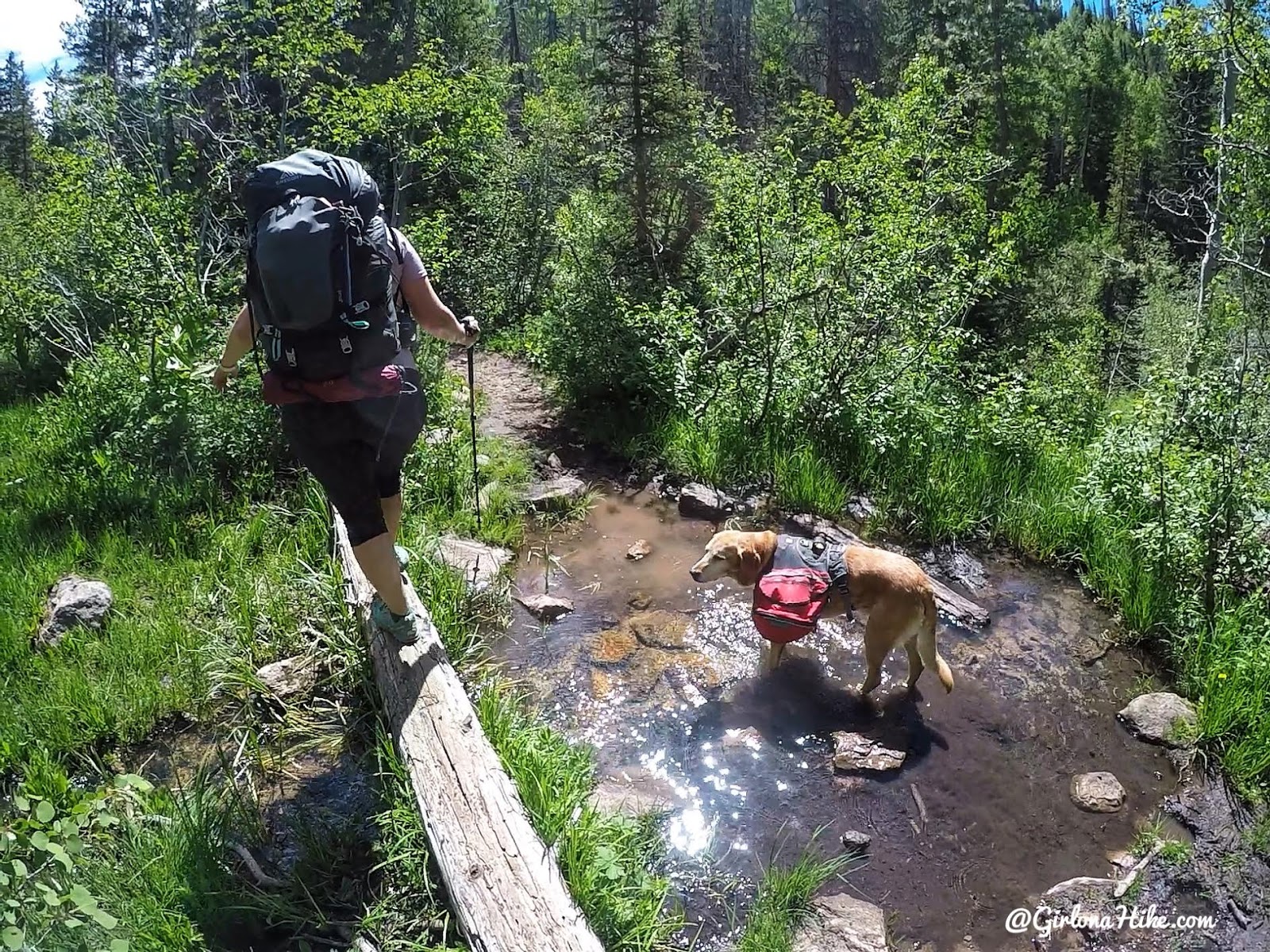 Backpacking the Yellow Pine Trail, Uintas