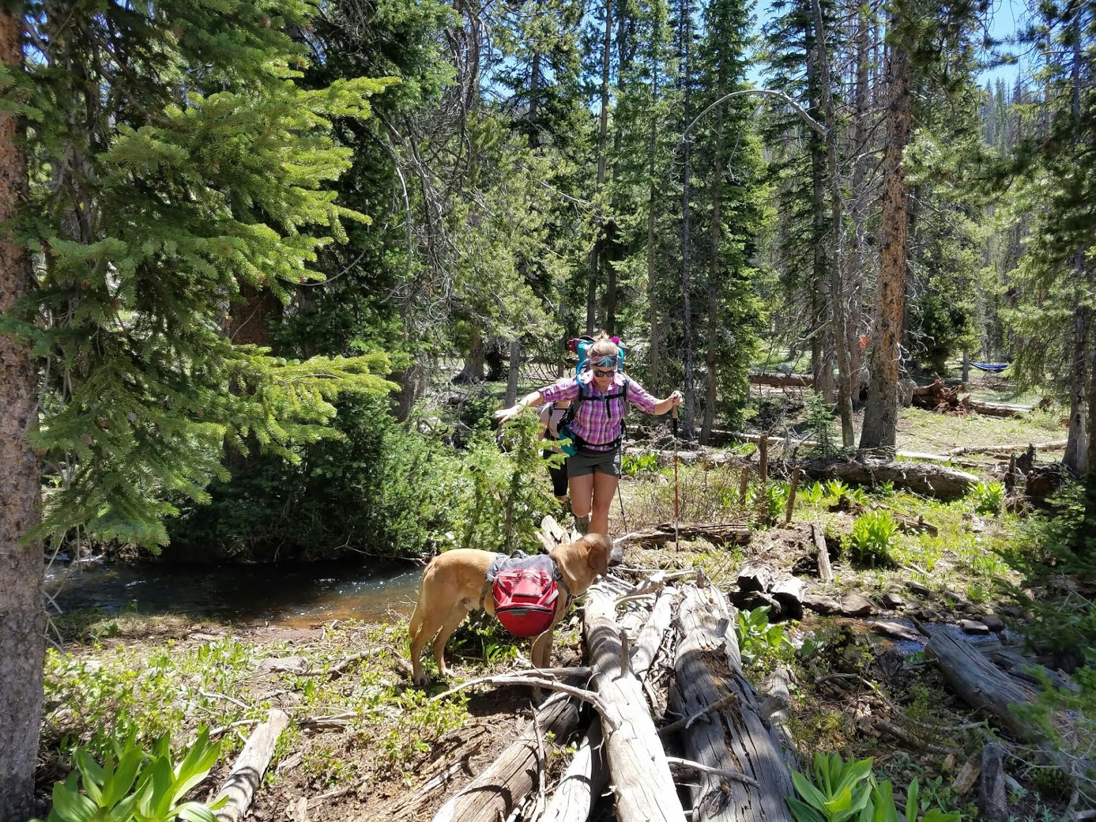 Backpacking the Yellow Pine Trail, Uintas