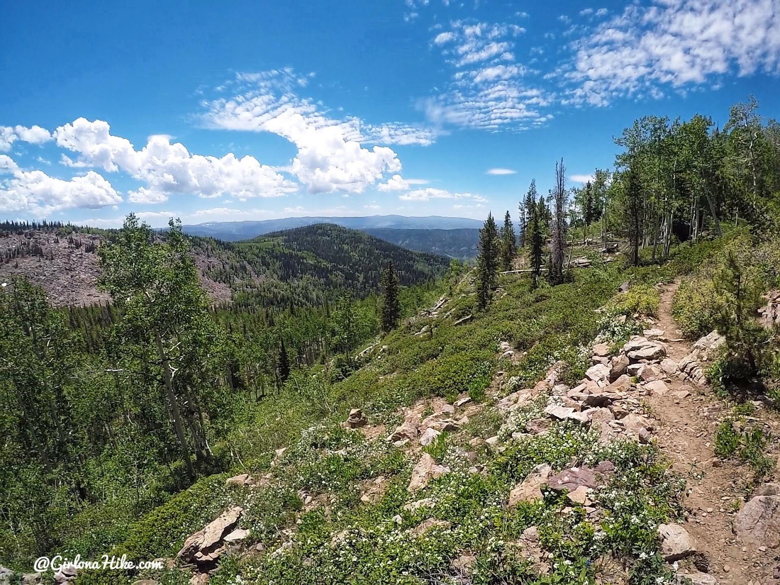 Backpacking the Yellow Pine Trail, Uintas