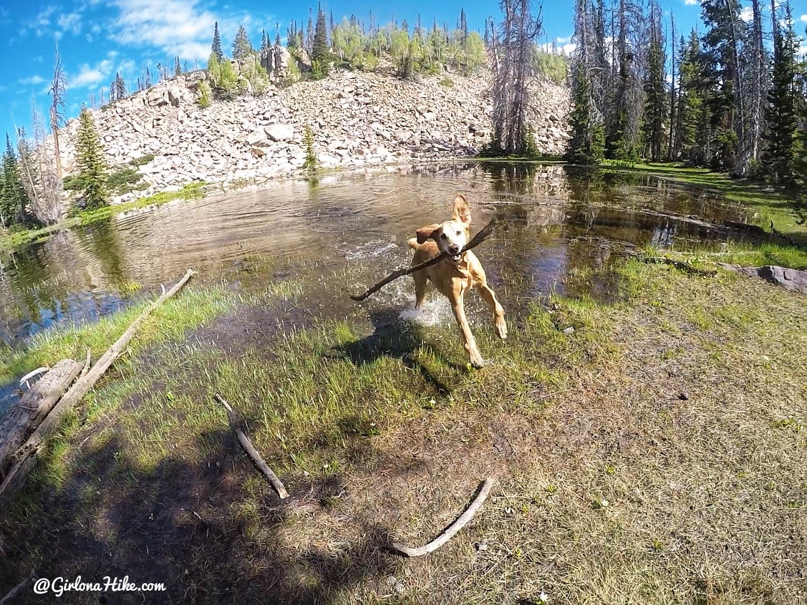 Backpacking the Yellow Pine Trail, Uintas