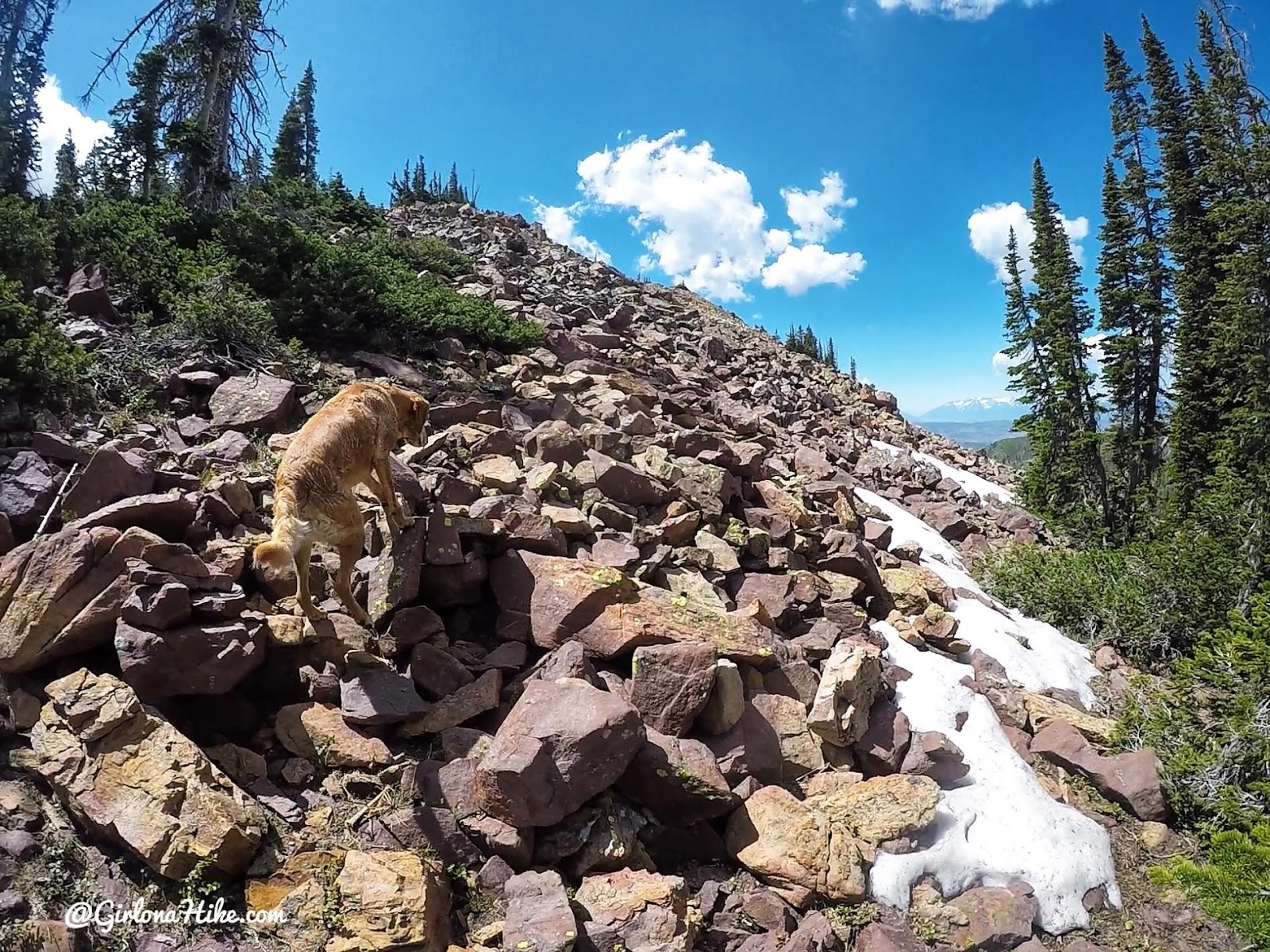 Backpacking the Yellow Pine Trail, Uintas