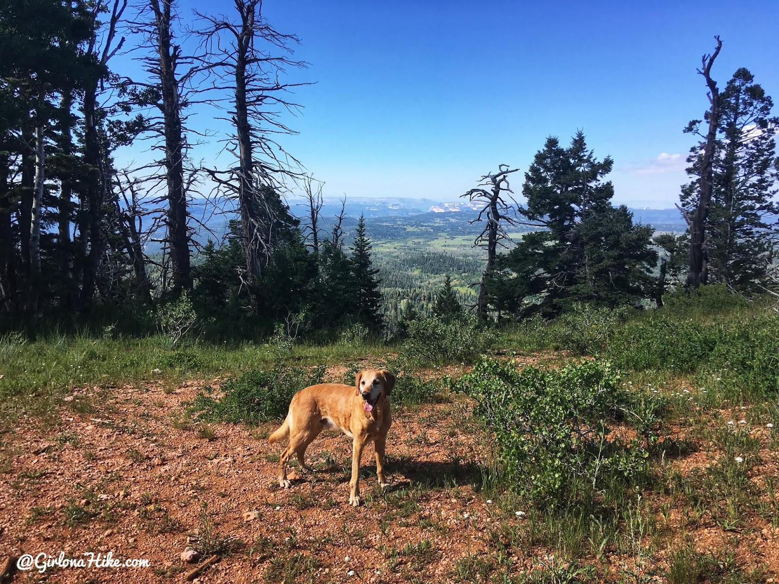 Hiking to Andy Nelson Peak & Kane County High Point