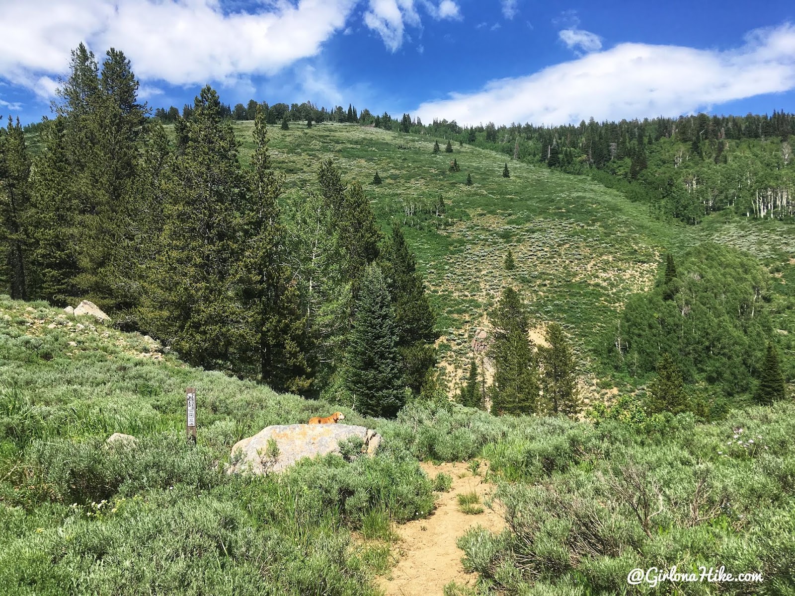 Hiking to Bridger Peak, Rich County High Point