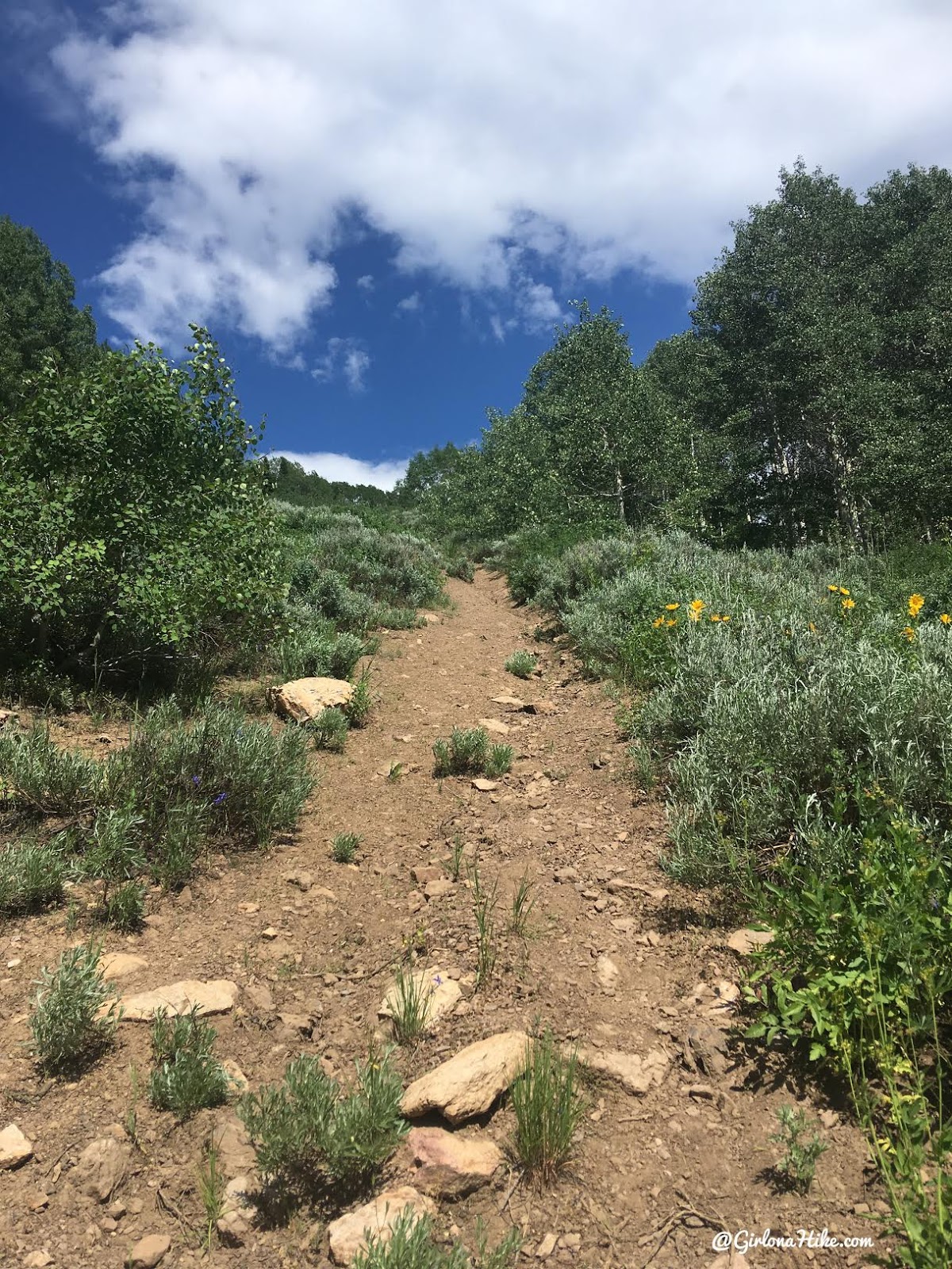 Hiking to Bridger Peak, Rich County High Point