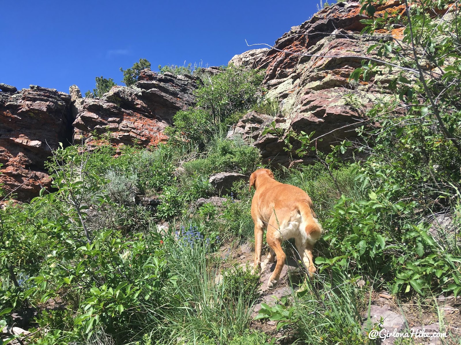 Hiking to Bridger Peak, Rich County High Point