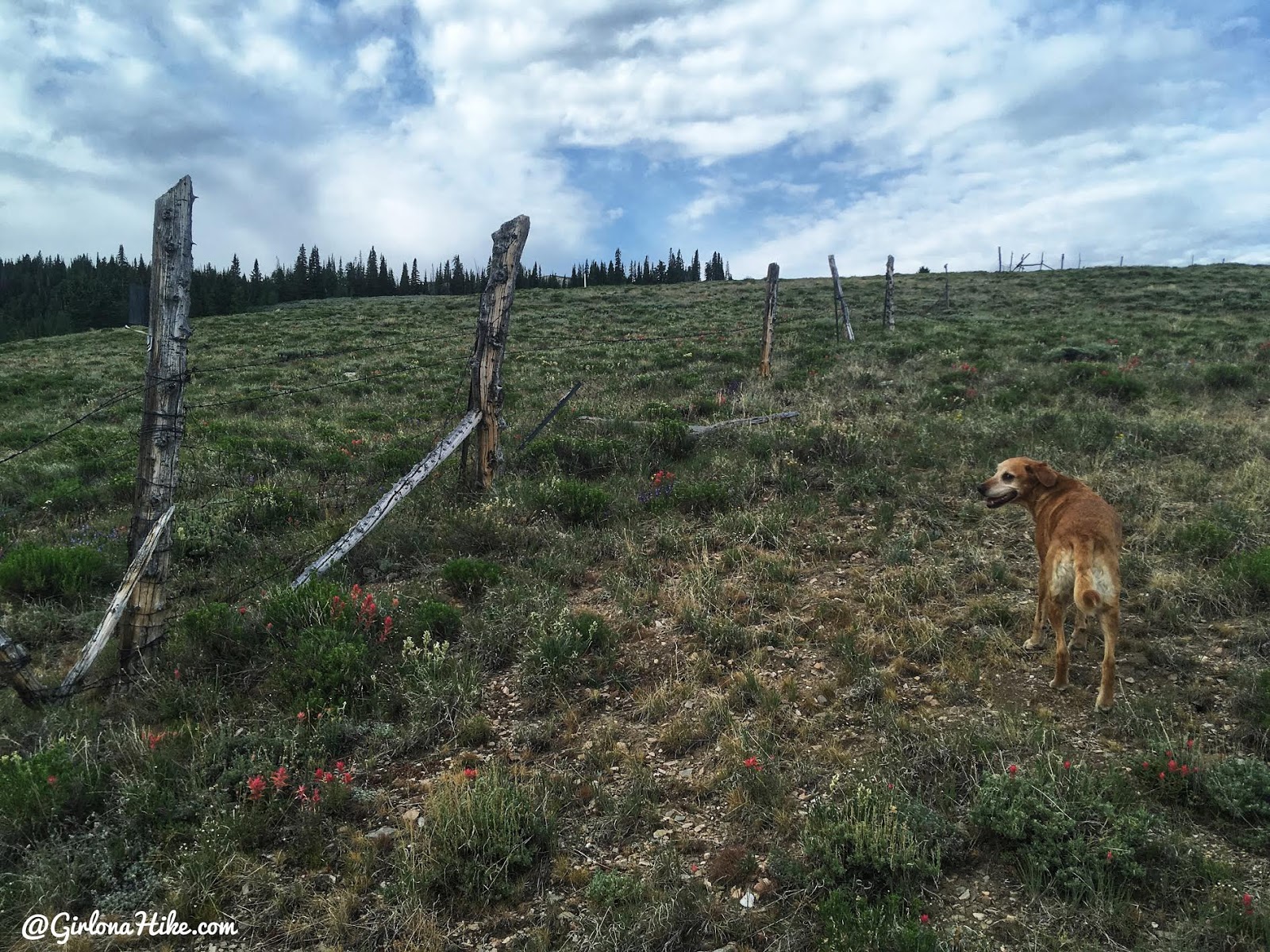 Hiking to Bull Mountain, Box Elder County High Point