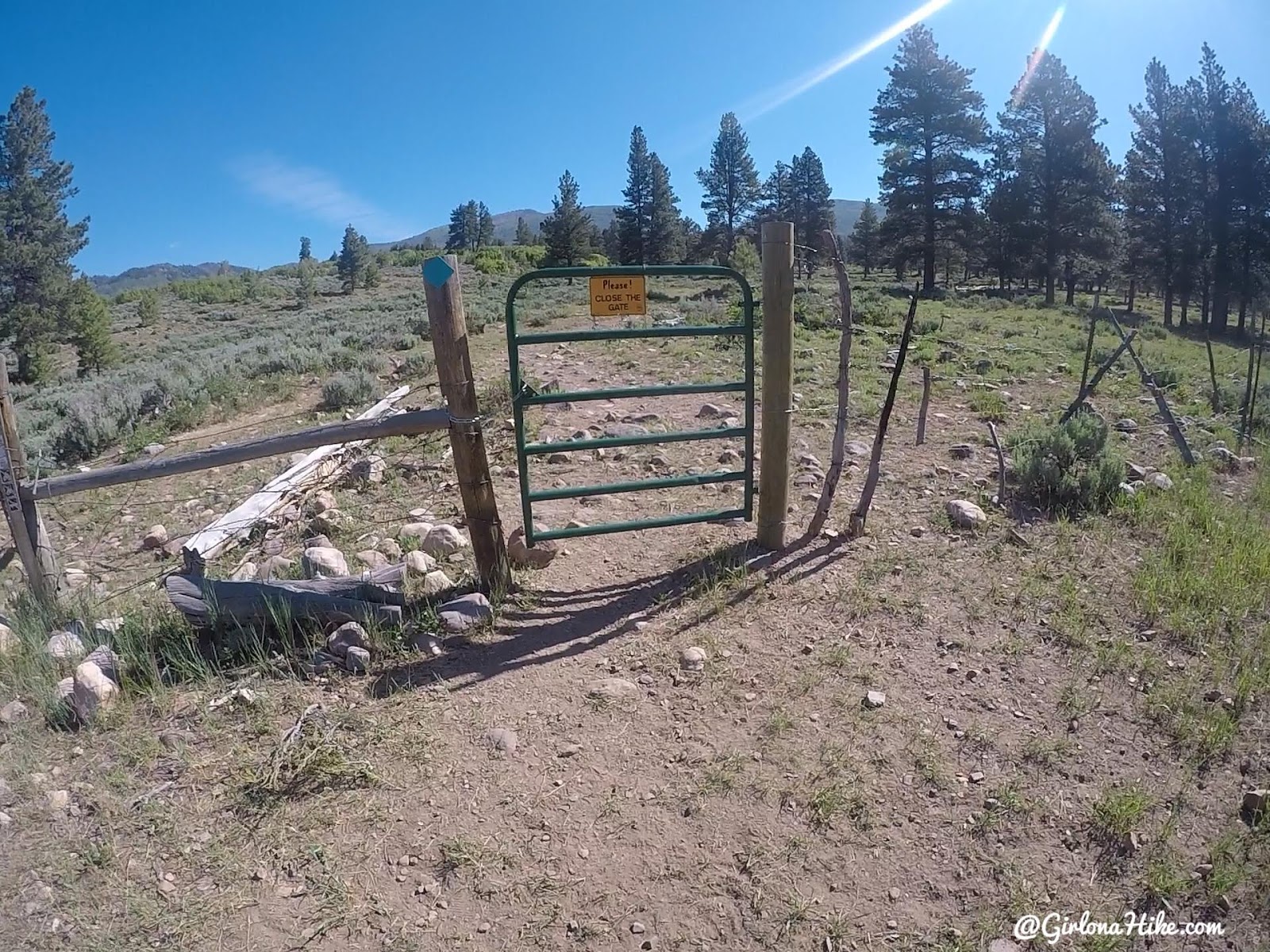 Backpacking the Yellow Pine Trail, Uintas