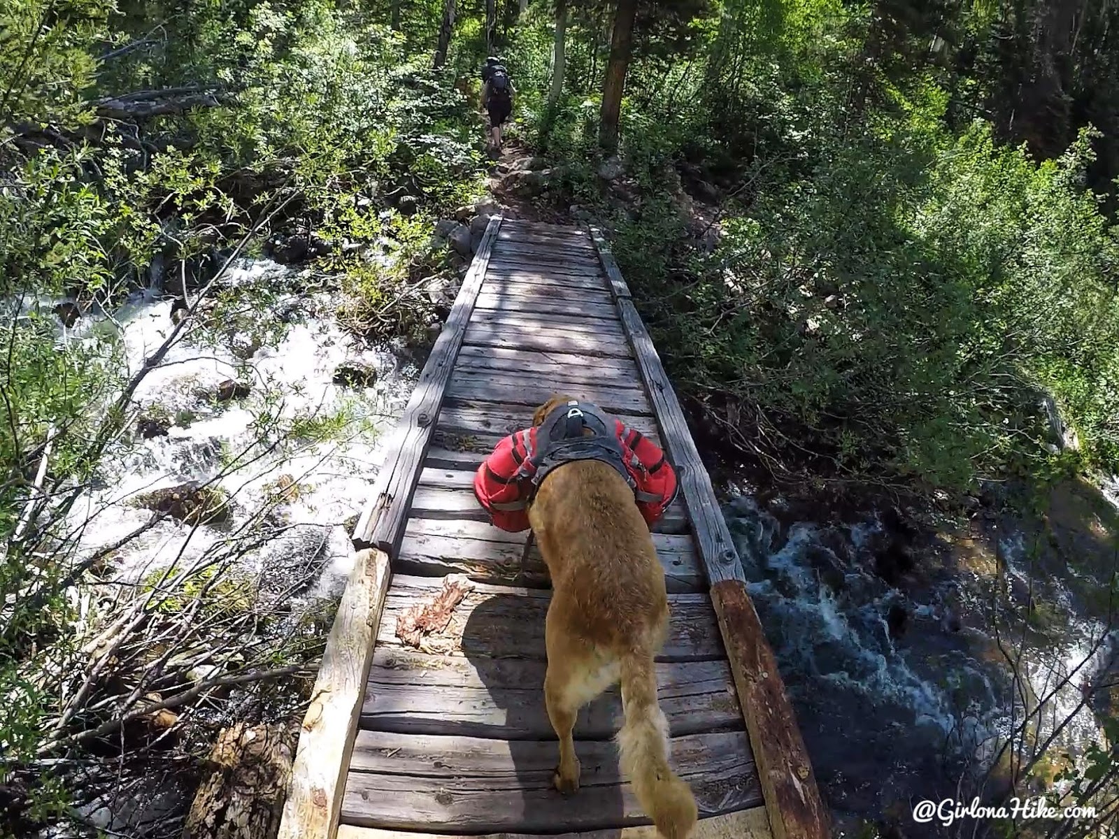 Backpacking the Yellow Pine Trail, Uintas